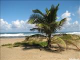 Playa Sardinera - HATILLO